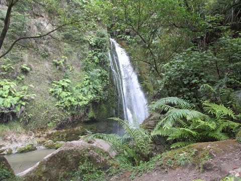 Te Ana Falls Tangoio Hawkes Bay Nzshortwalks 