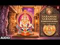 Saranam Saranam Song Sri Swami Ayyapa Bhajanalu Parupalli Ranganath Telugu Devotional Songs