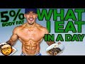 FULL DAY OF EATING at 5% BODY FAT (Meals & Macros Shown)