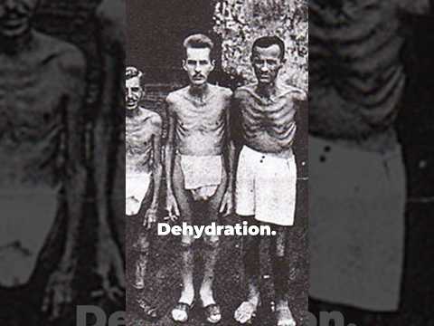 Bataan Death March: A Dark Chapter of WWII #ww2  #militaryhistory  #history