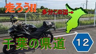 【モトブログ】そうだ千葉の県道に行こう!!ちょっと気になってた道に入った話【CBR125R】