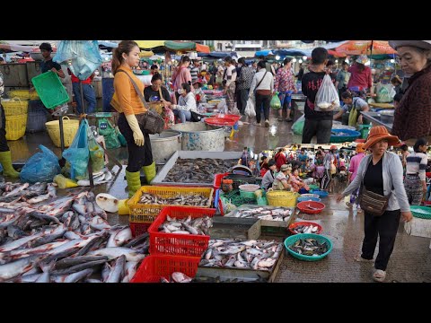 Morning Fish Market Scene @Chbar Ampov - Plenty Alive Fish, Seafood & More Selling In Fish Market