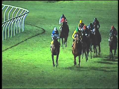 Galoppo 16/02/2016 - 7° corsa