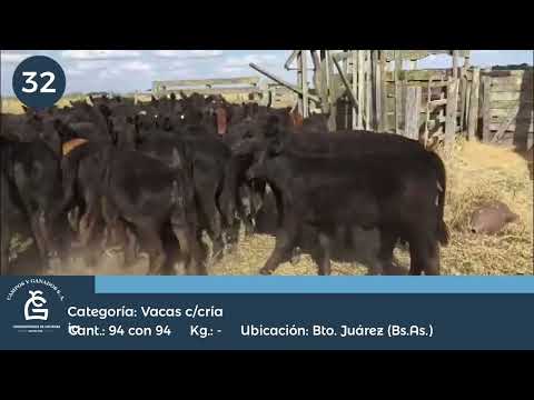 Lote Vc C/Cría Benito Juárez  Bs As