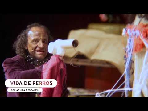 Ella será una reina... Barata - Vida de perros