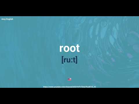 How To Pronounce Root