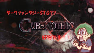 不気味な世界観で展開するSTG??　cube gothic初見プレイ！