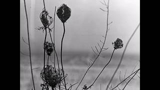 Recondite – Ley | Acid Test