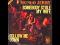 Mungo Jerry - Somebody Stole My Wife 