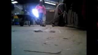 Sometimes, we just like to jump, jump, jump!