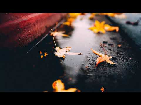 Baladas Romanticas Instrumentales Con Flauta - Música Romántica Instrumental Para Escuchar