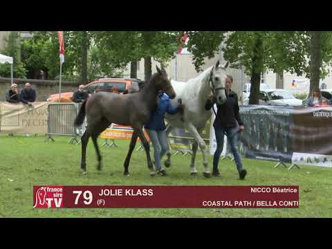 Sprinter Sacré Show 2019 : Lot 79 - JOLIE KLASS