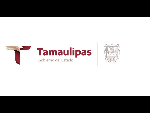 imagen-video-thelogisticsworld