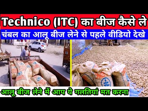 नया आलू बीज खरीदने से पहले सावधानी बरतें || technico ka seed kaise book kre || itc ka seed kaise le