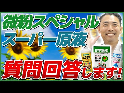 園芸 樹脂スパージ、樹脂性スパージ