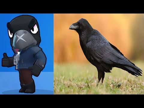 БРАВЛ СТАРС В РЕАЛЬНОЙ ЖИЗНИ | Brawl Stars Troops In Real Life 2019!