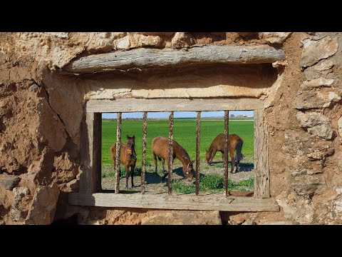 SOCUELLAMOS Y SU ENTORNO III - CAMPO MANCHEGO - DRON