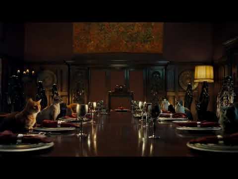 Best Hollywood cat  villan super scenes