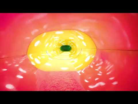 Race, Miramar Waterpark 2022, Germany