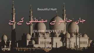 Download lagu Jan Hazir Hai Mustafa Ke Liye || Slowed Reverb || & Latest Naat 2025 mp3 Download lagu Jan Hazir Hai Mustafa Ke Liye || Slowed Reverb || & Latest Naat 2025 mp3
