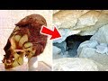 The Mystery Of The Red Haired Giants And The Mystery Of Lovelock Cave