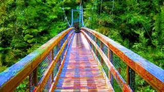 Kottonmouth Kings "Free the Plant"