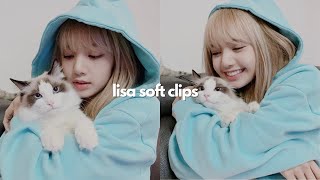 Lisa clips for editing