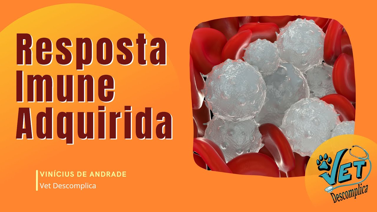 Como acontece a Resposta Imune Celular e Humoral?