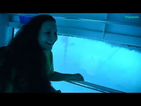 A Day in Great Barrier Reef , Cairns