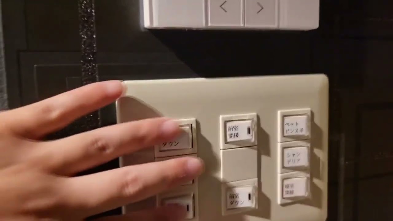 ピンクダイヤの店内紹介動画①