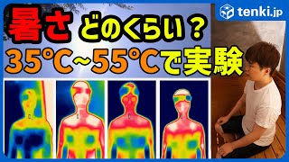 Can you imagine how hot it is? Heat experiment at 35°C, 40°C, 45°C, and 55°C