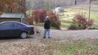 Me And You and a Dog Named Boo