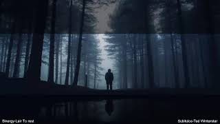 Laid to rest- Sinergy (sub español + lyrics)