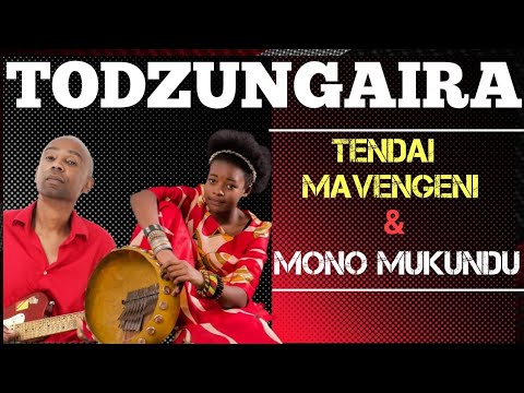 Todzungaira:Mono Mukundu & Tendai Mavengeni
