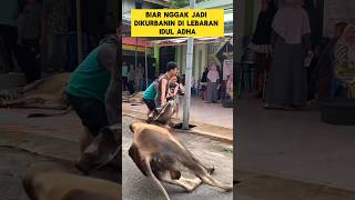Download lagu Funny moment when the sacrificial cow is salty with a handsome guy ‼️‼️ #laugh #cow #sacrifice #f... mp3 Download lagu Funny moment when the sacrificial cow is salty with a handsome guy ‼️‼️ #laugh #cow #sacrifice #f... mp3