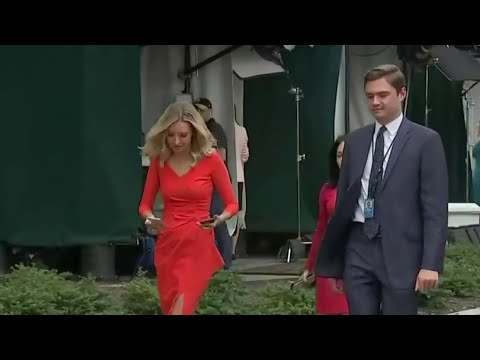 Local 4 News at Noon -- Oct. 6, 2020