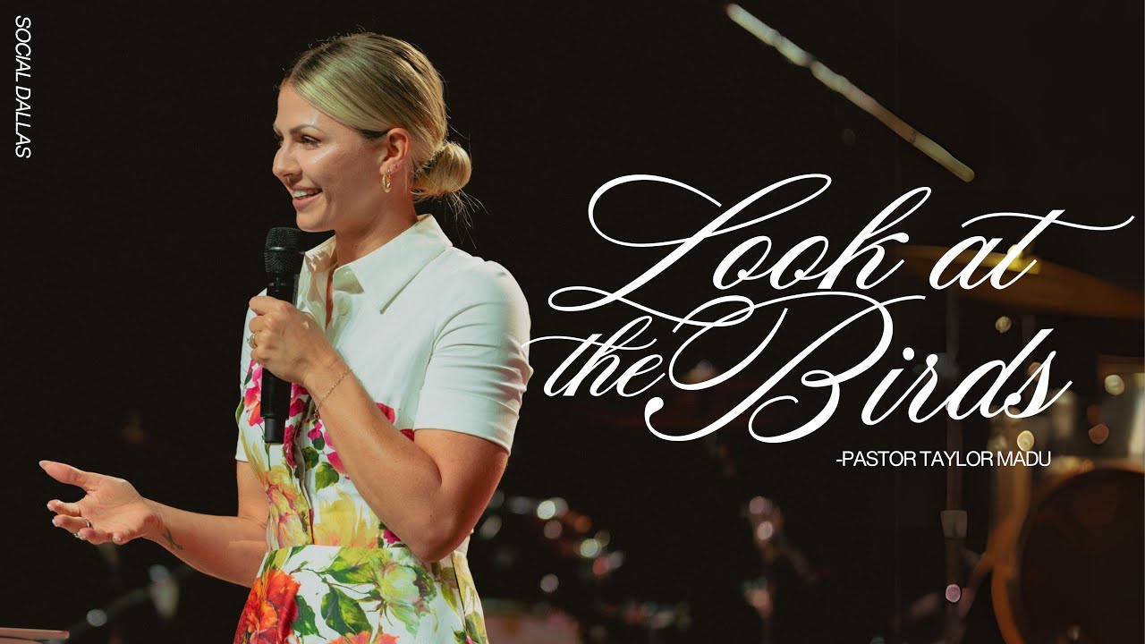 Look at the Birds I Taylor Madu I Social Dallas