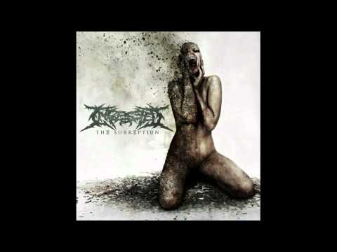 Ingested - Castigation and Rebirth (NEW SONG 2011) With Lyrics