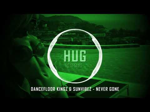 Dancefloor Kingz & Sunvibez - Never Gone