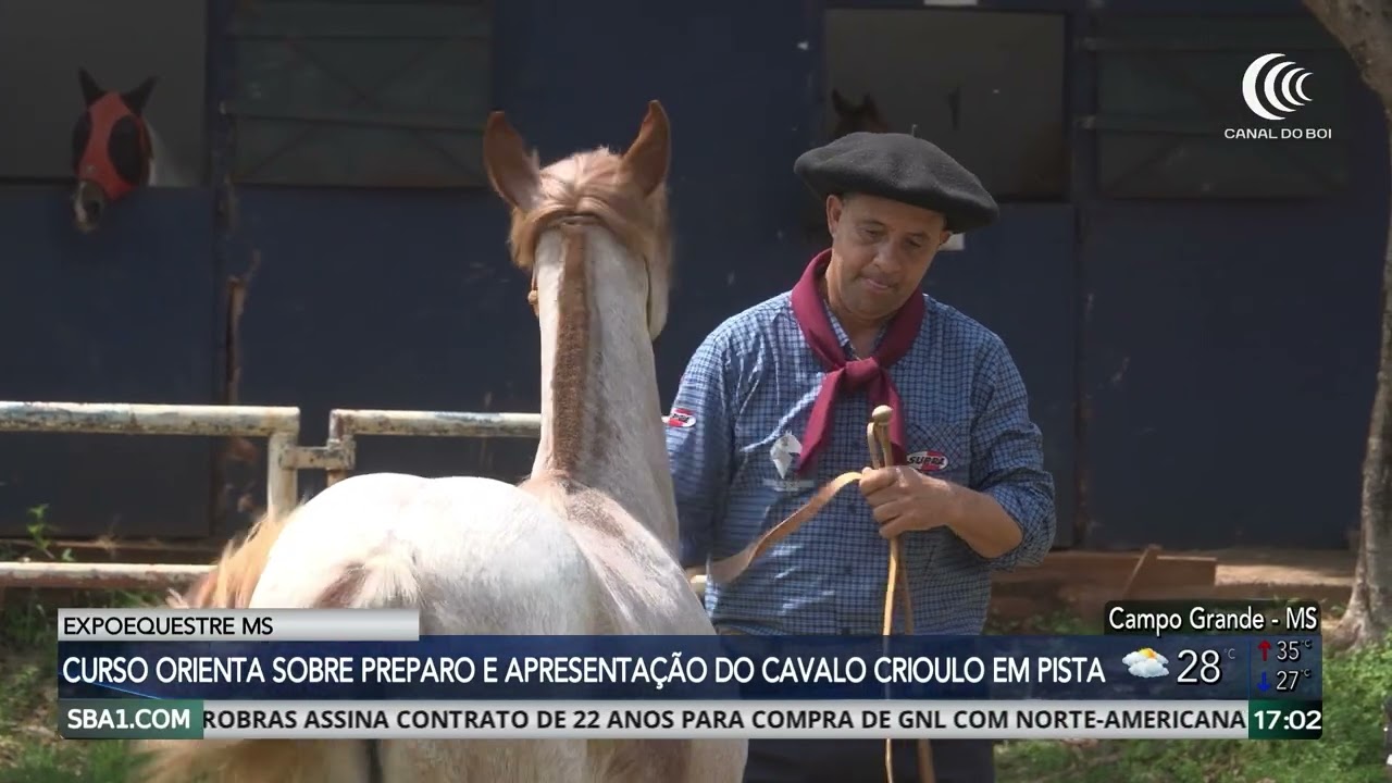 Expoequestre MS destaca preparo e manejo do cavalo crioulo