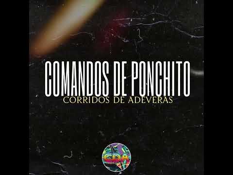 Comandos de Ponchito Néstor Peralta