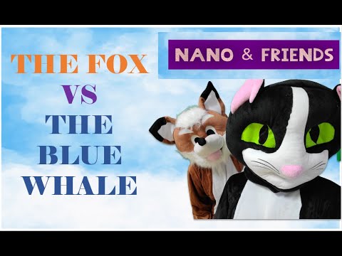 The Fox and the Blue Whale