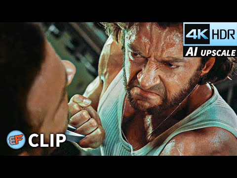 Filmey Box and Filmic Box Clips