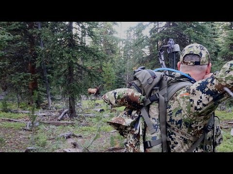 BUGLE FEST CONTINUES IN WYOMING - EP 10 - LAND OF THE FREE