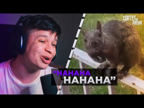 ARUAN REAGE À AMORA (COMPILADO DE MEMES) PARTE 6 - Cortes do Aruan