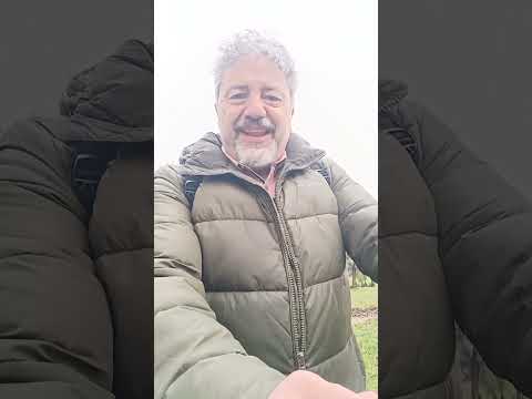 Fare I soldi legalmente secondo Chatgpt