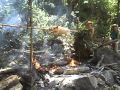 CUBA Y SU COCHINILLO ASADO EN LA SIERRA MAESTRA - TRADICIONES CUBANAS