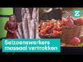 Coronacrisis raakt arbeidsmarkt: iedereen wil ineens de arbeidsmigrant