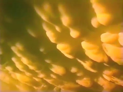 Tomalone - Mammatus (from First Born EP)