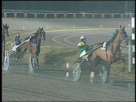 Trotto 17/01/2017 - 5ª corsa